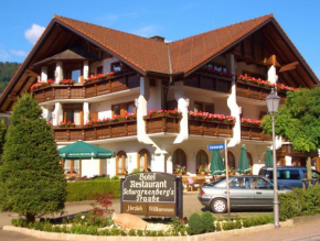 Отель Hotel Schwarzenbergs Traube, Глоттерталь